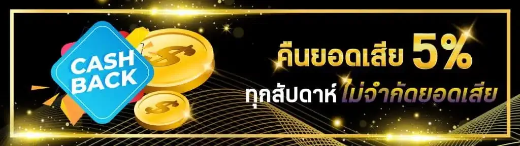 เว็บนอก ลิขสิทธิ์แท้ โปรโมชั่น